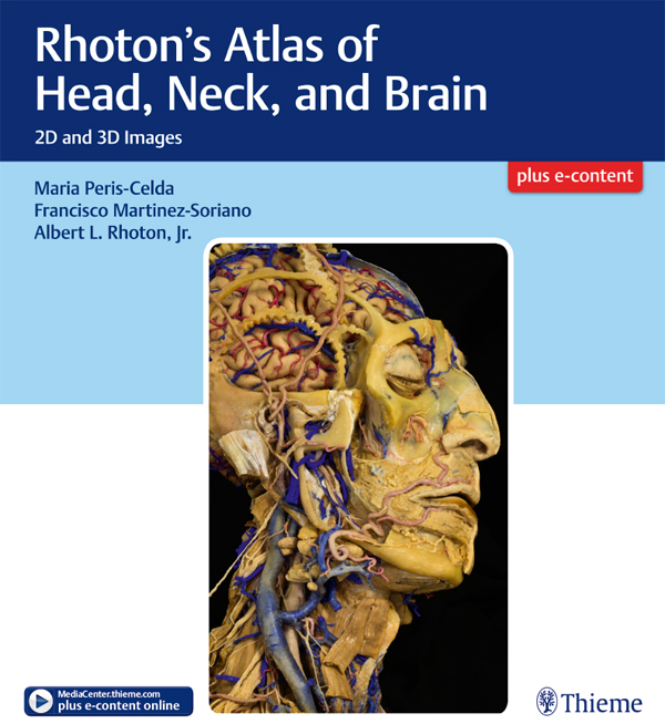 Rhoton's Atlas of Head, Neck, and Brain: 2D and 3D Images 1st Edition