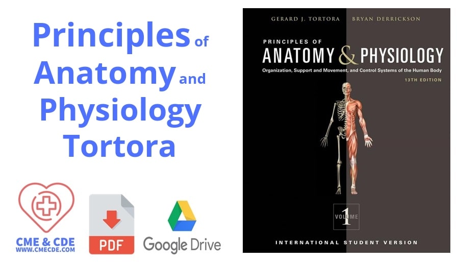 Principles of Anatomy and Physiology 13 Edition