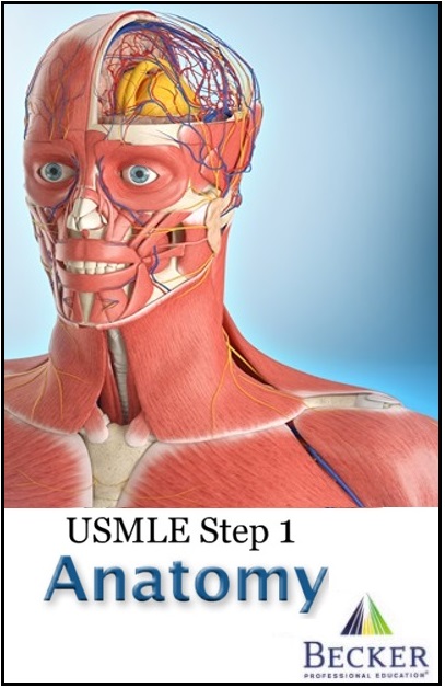 BECKER USMLE Step 1 Anatomy