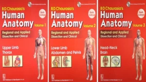 BD Chaurasia's Human Anatomy Vol. 2 Fourth Edition