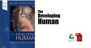 The Developing Human: Clinically Oriented Embryology, 8th Edition PDF