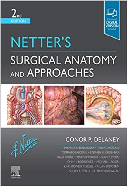 Netter’s Surgical Anatomy and Approaches 
