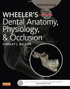 Wheeler's Dental Anatomy Physiology and Occlusion 10th Edition