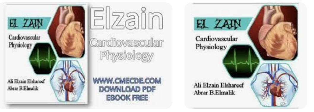 Elzain Cardiovascular Physiology 