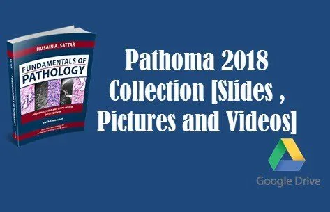 Pathoma 2023 Collection [Slides and Pictures]