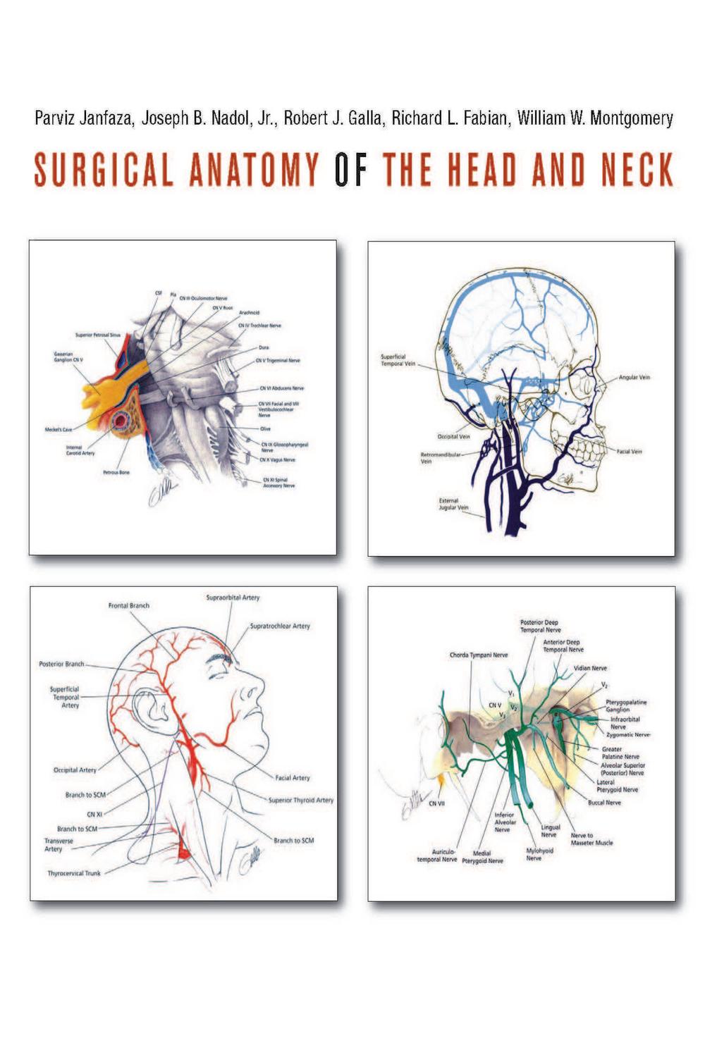 Surgical Anatomy of the Head and Neck 1st Edition 