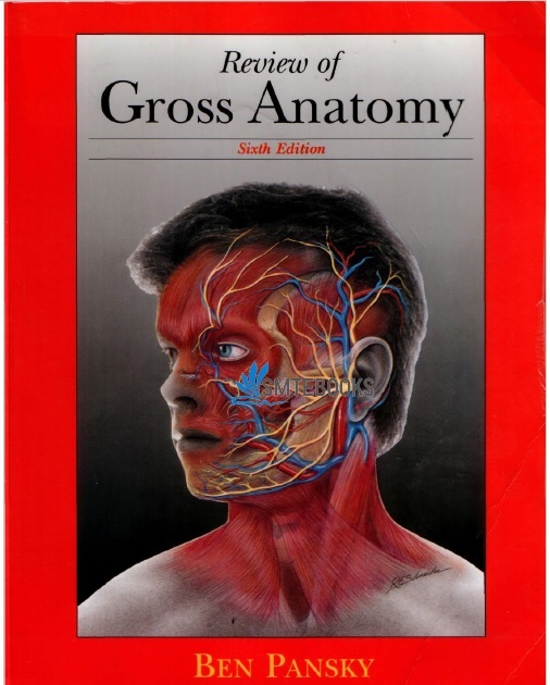 Review of Gross Anatomy 6th Edition 