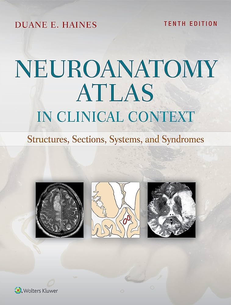 Neuroanatomy Atlas in Clinical Context 10th Edition