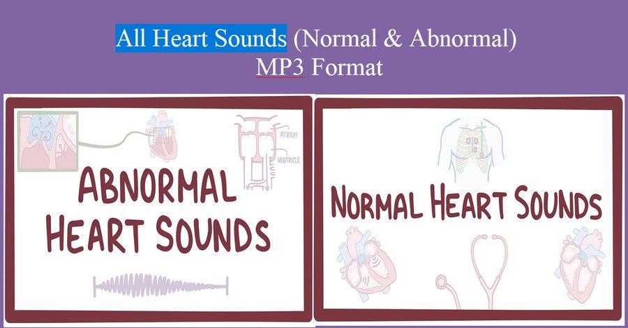 All Heart And Respiratory Sounds (Normal and Abnormal) In MP3