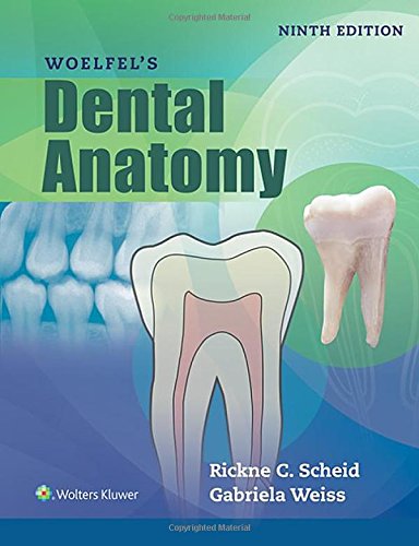 Woelfels Dental Anatomy 9th Edition