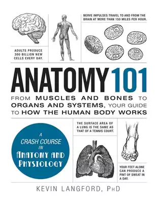 Anatomy 101: From Muscles and Bones to Organs and Systems Your Guide to How the Human Body