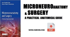 Microneuroanatomy and Surgery: A Practical Anatomical Guide
